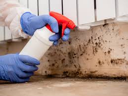 Best Forensic Mold Investigation  in Berea, SC